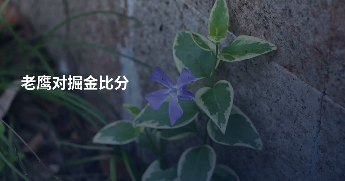 老鹰对掘金比分