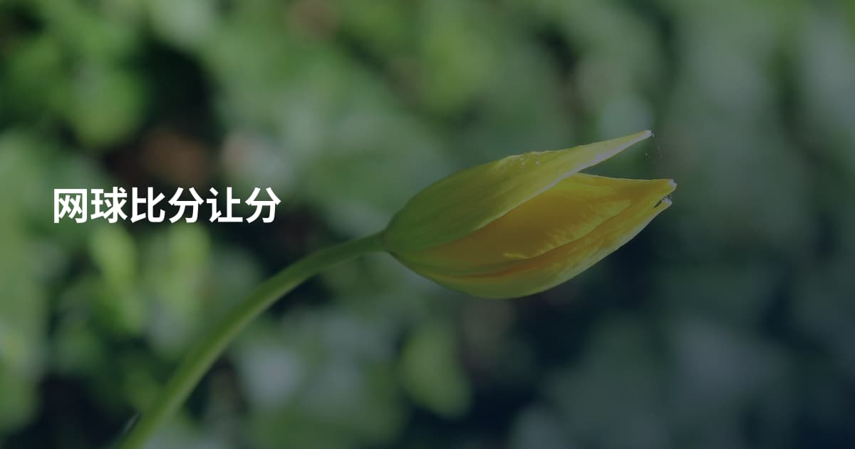 网球比分让分