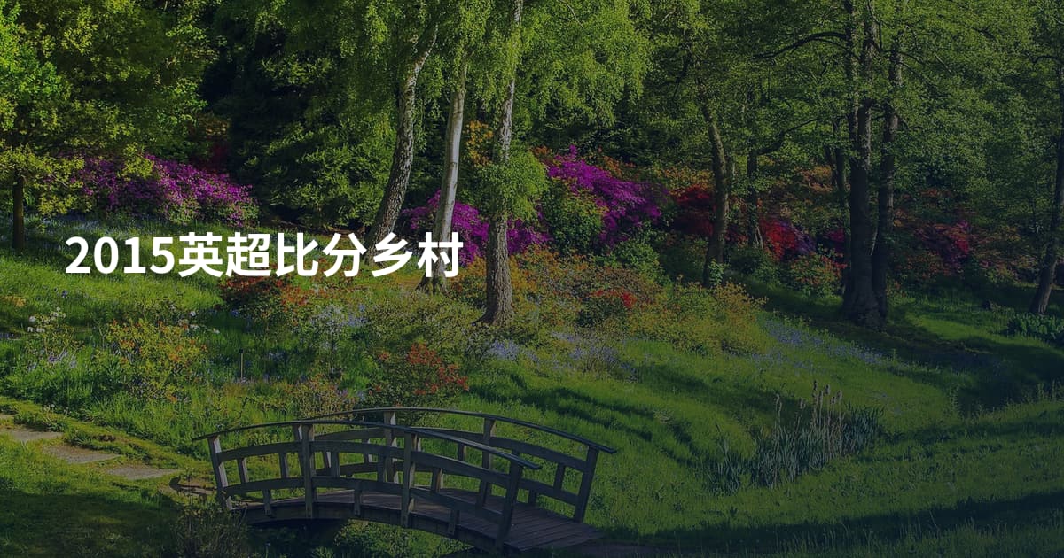 2015英超比分乡村