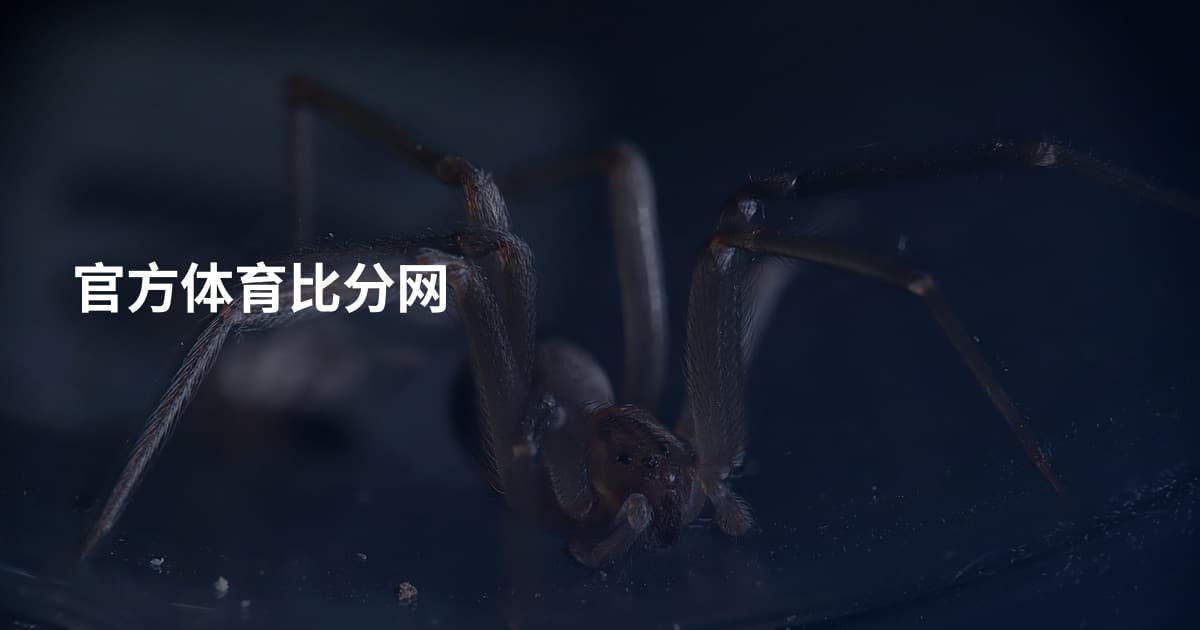 官方体育比分网