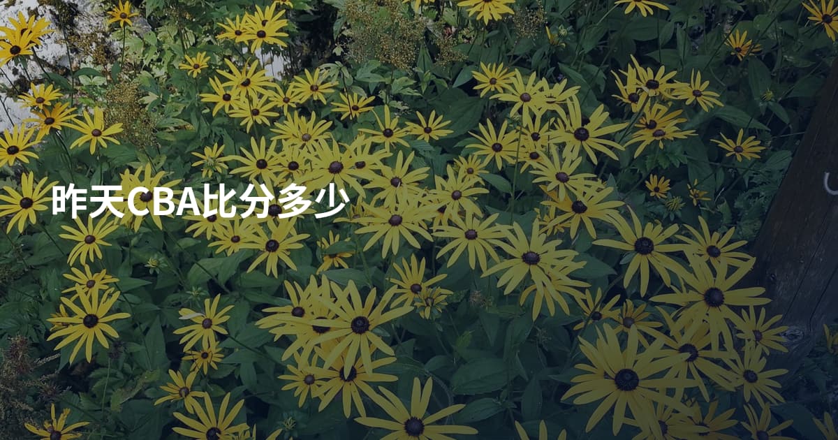 昨天CBA比分多少