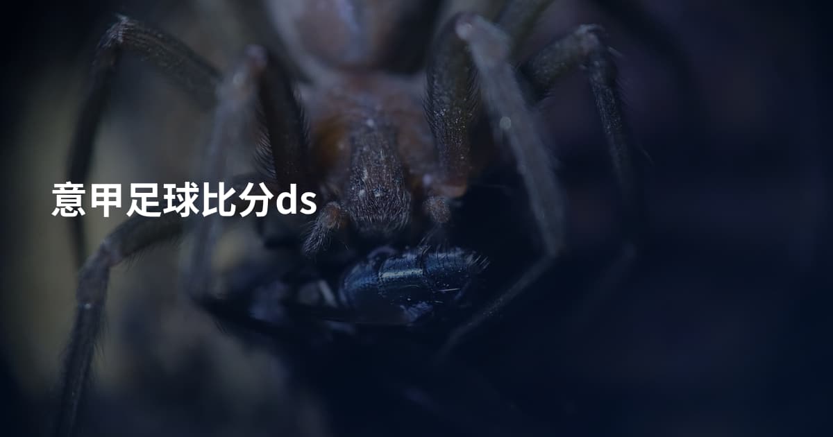意甲足球比分ds