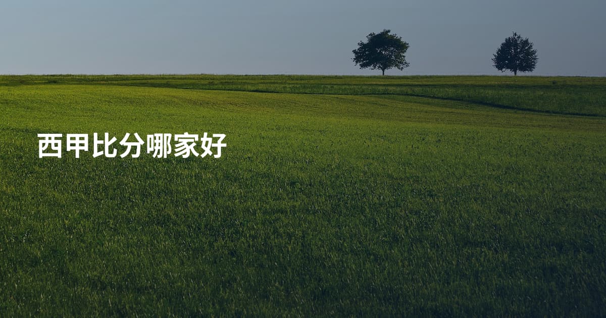 西甲比分哪家好