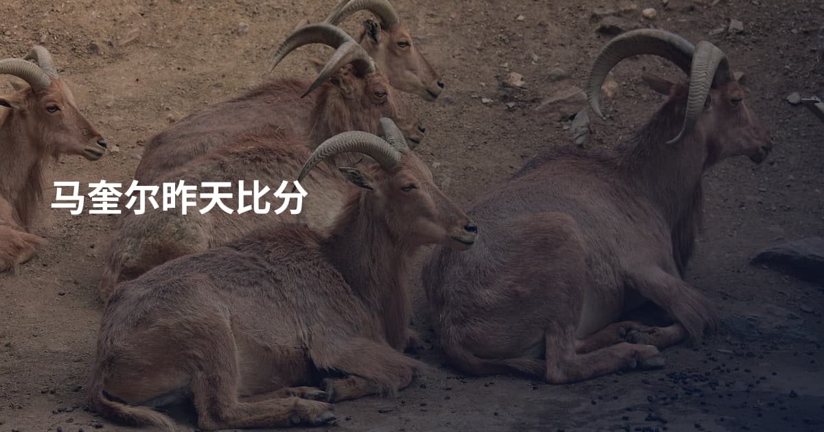 马奎尔昨天比分