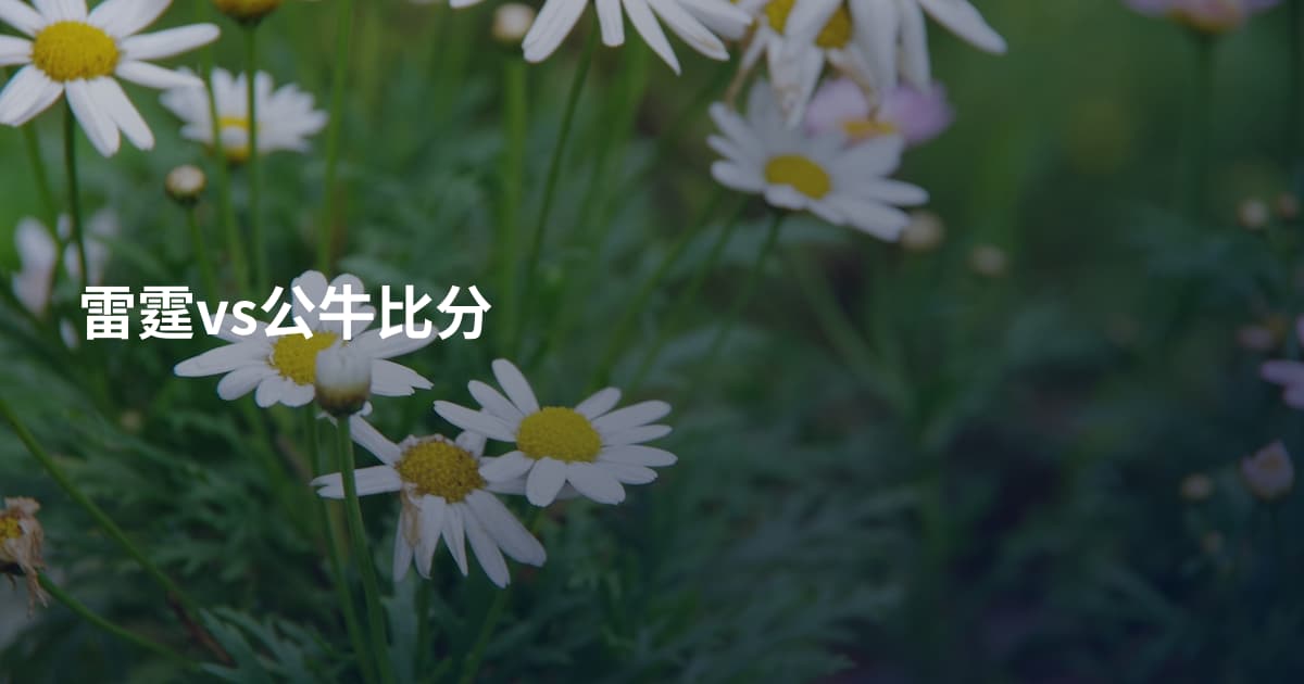 雷霆vs公牛比分