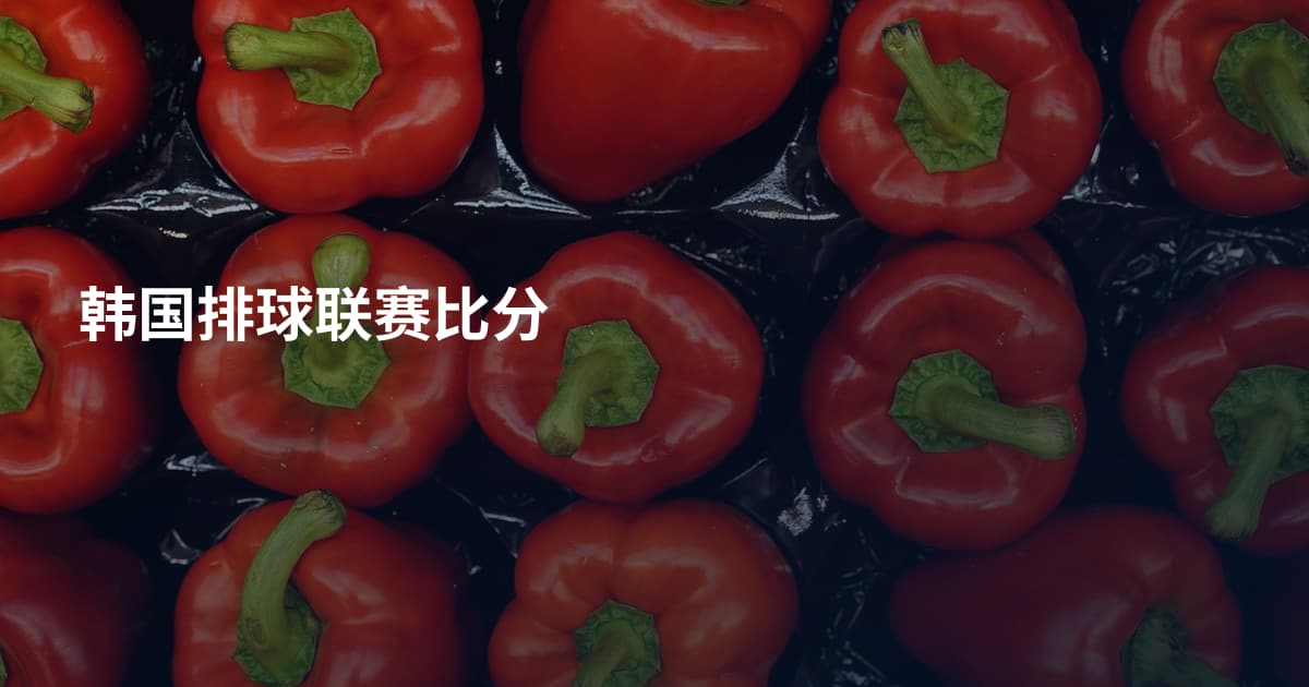 韩国排球联赛比分