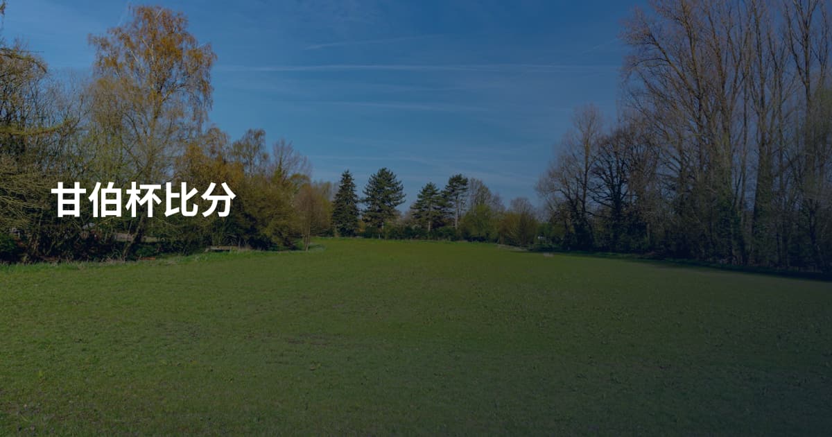 甘伯杯比分