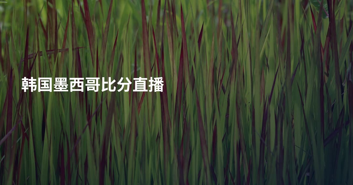 韩国墨西哥比分直播