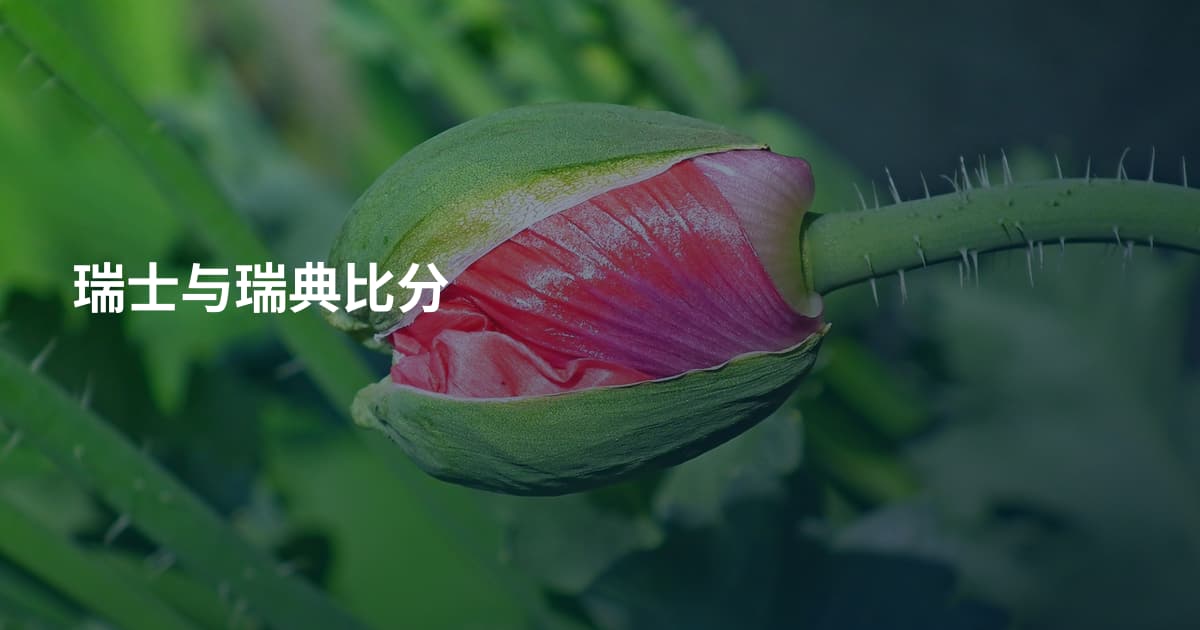 瑞士与瑞典比分