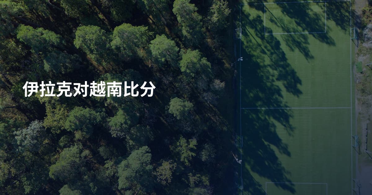 伊拉克对越南比分