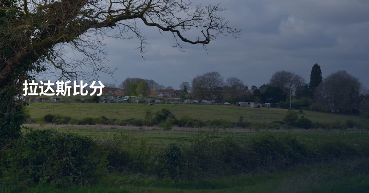 拉达斯比分