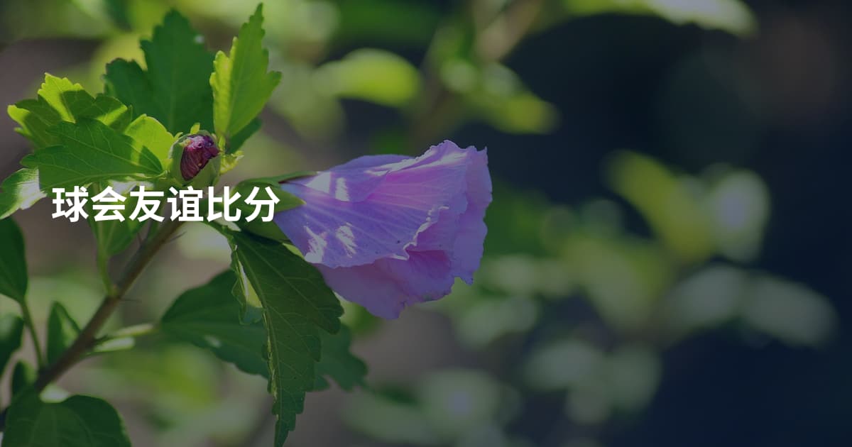 球会友谊比分