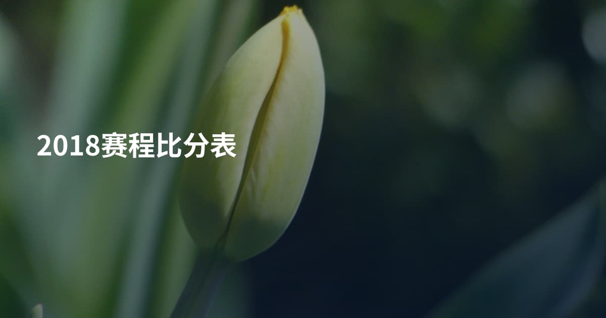 2018赛程比分表
