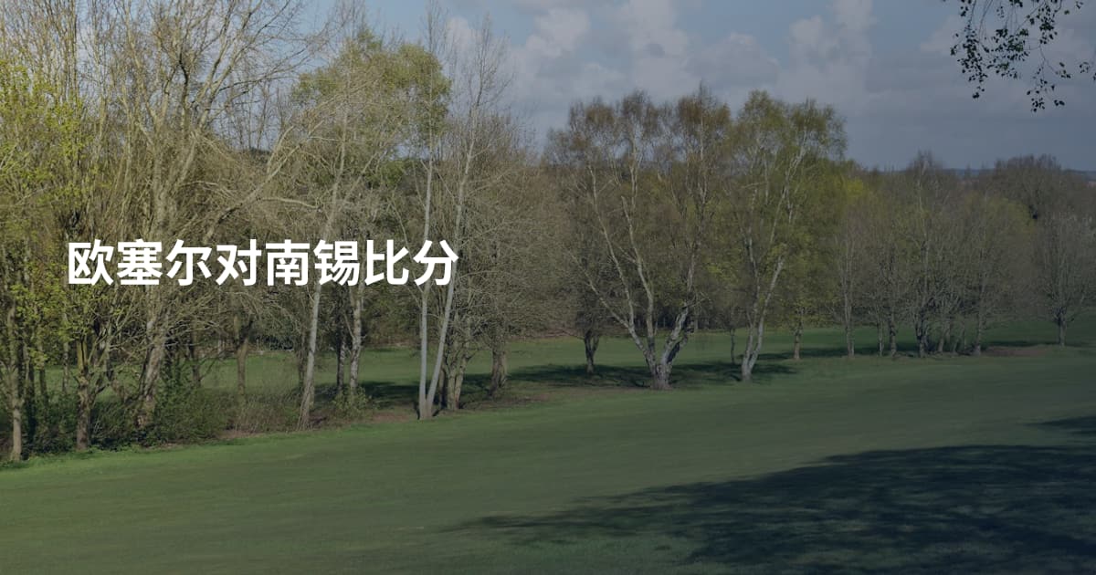欧塞尔对南锡比分