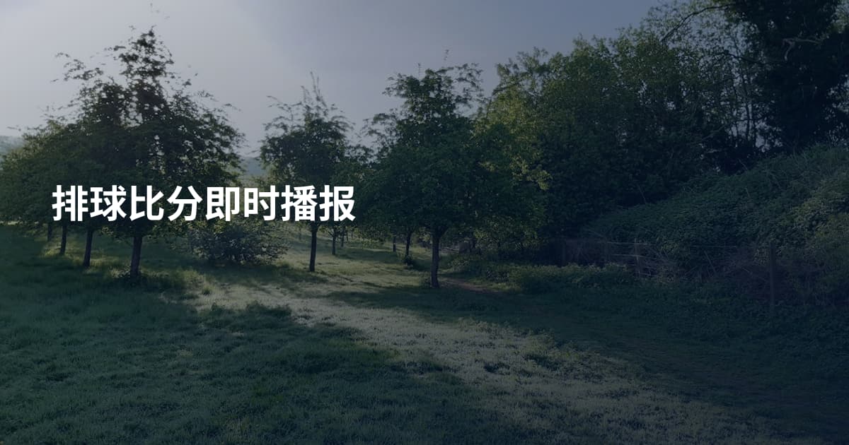 排球比分即时播报