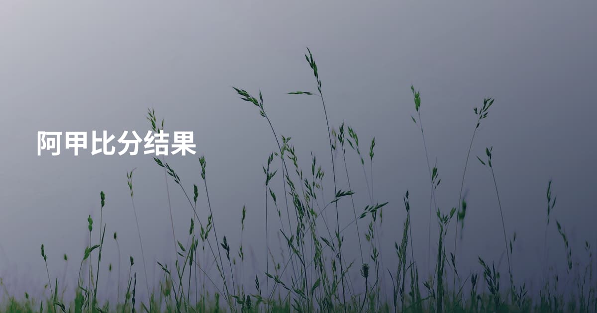 阿甲比分结果