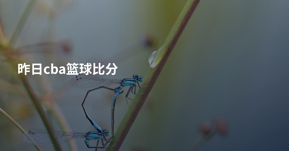 昨日cba篮球比分
