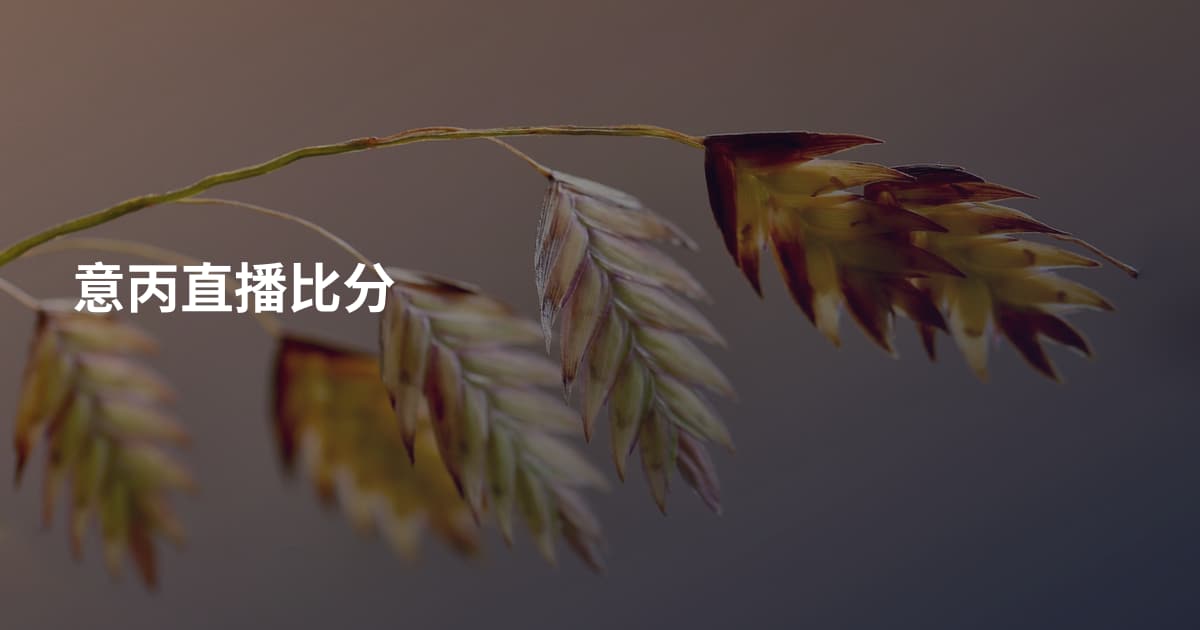 意丙直播比分