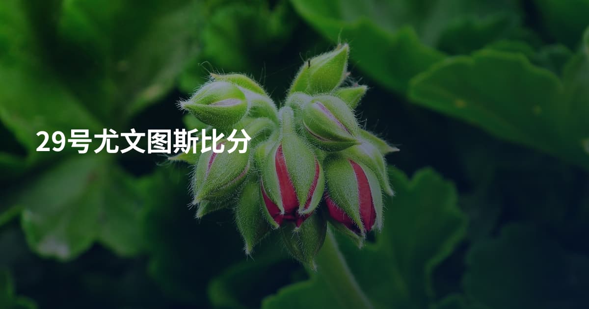 29号尤文图斯比分