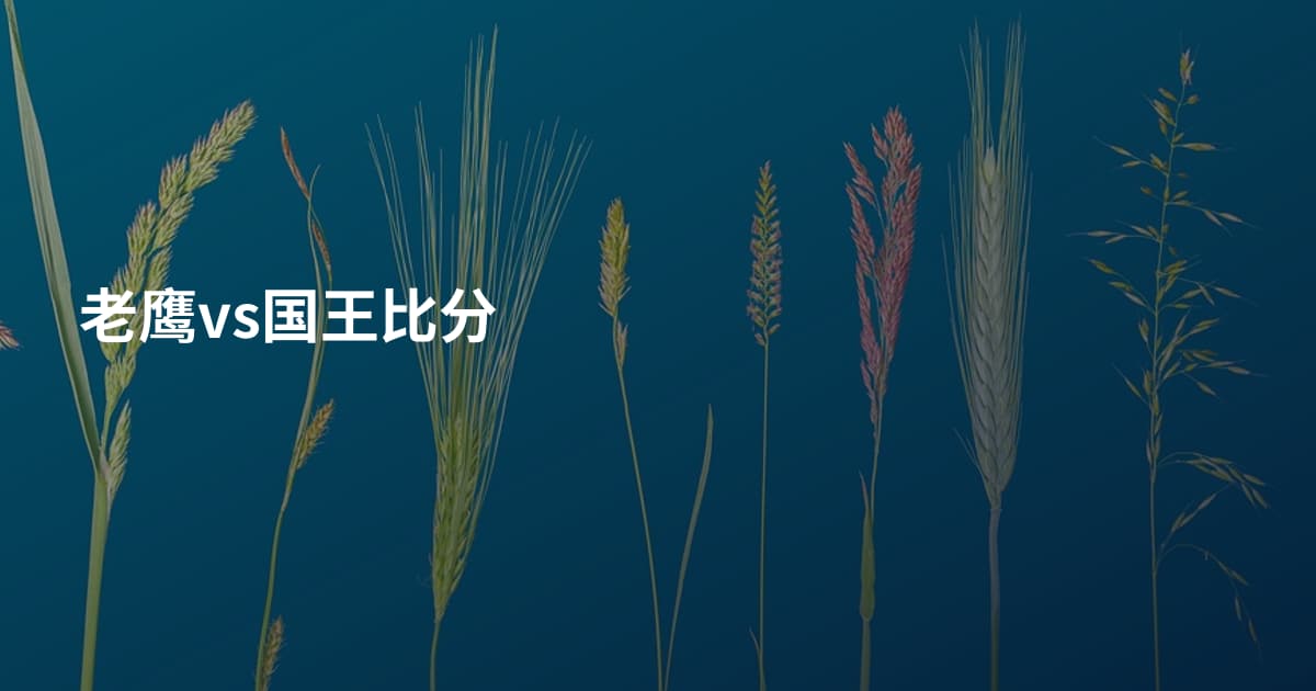 老鹰vs国王比分