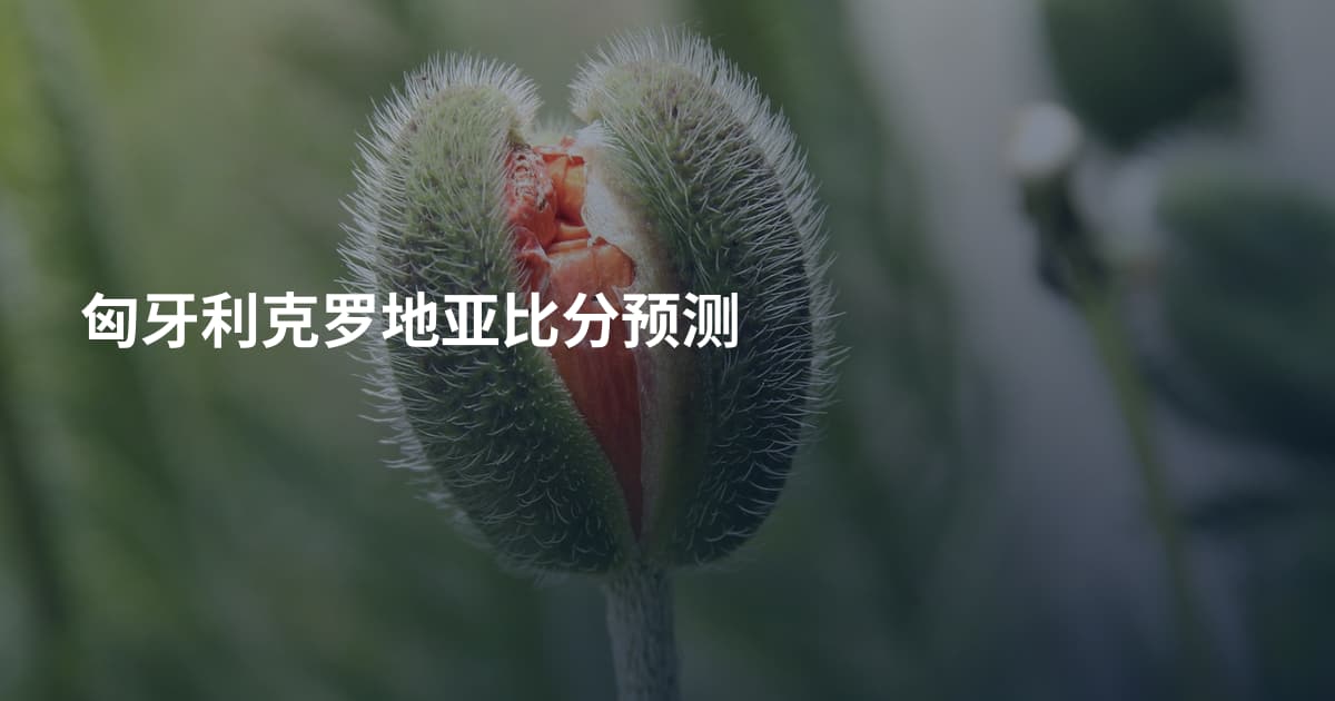 匈牙利克罗地亚比分预测