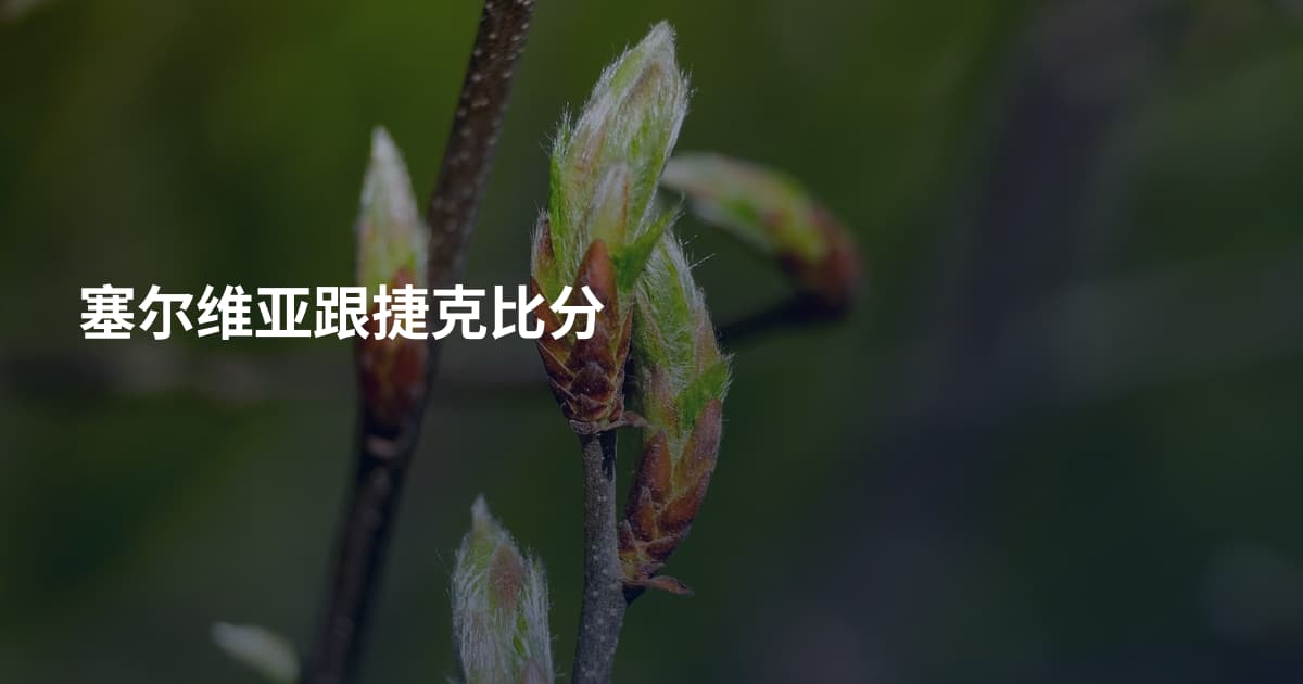 塞尔维亚跟捷克比分