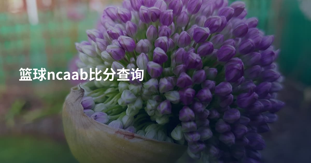 篮球ncaab比分查询