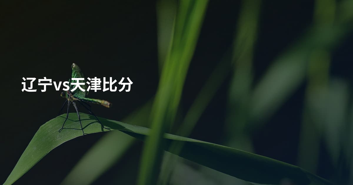 辽宁vs天津比分