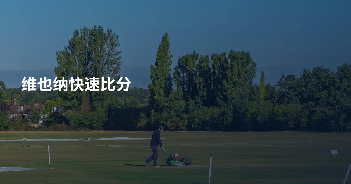 维也纳快速比分