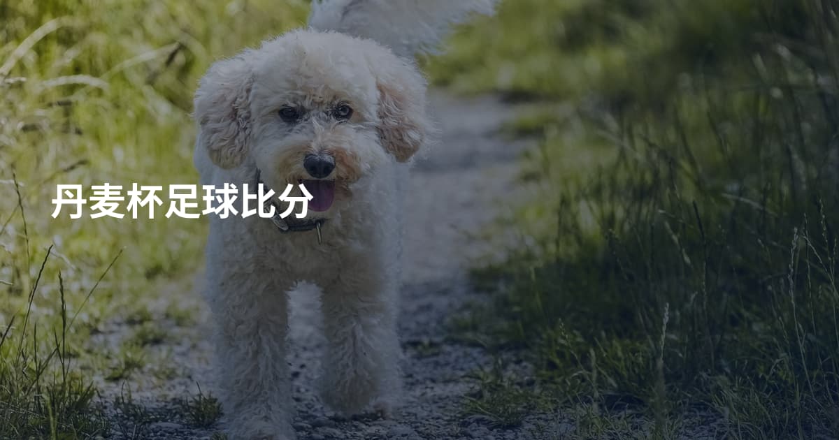 丹麦杯足球比分