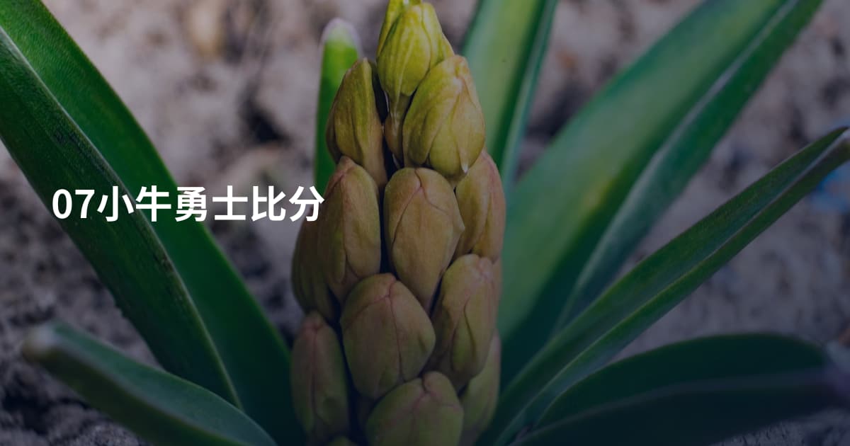 07小牛勇士比分