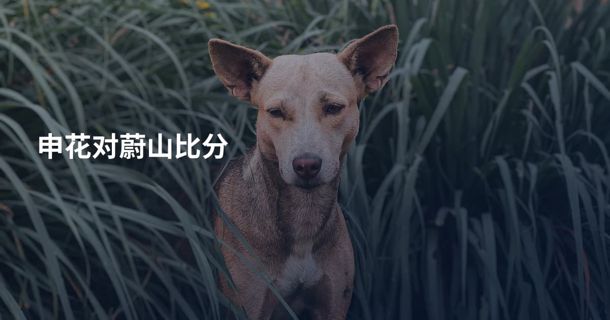 申花对蔚山比分
