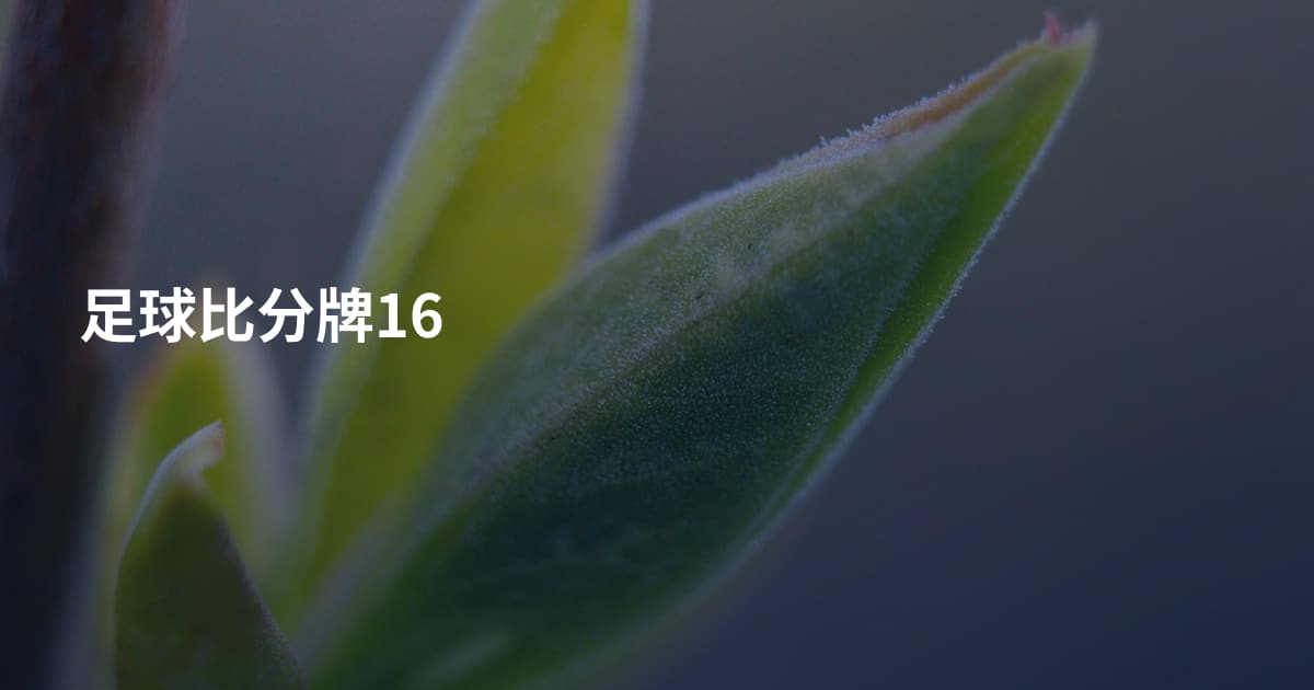 足球比分牌16