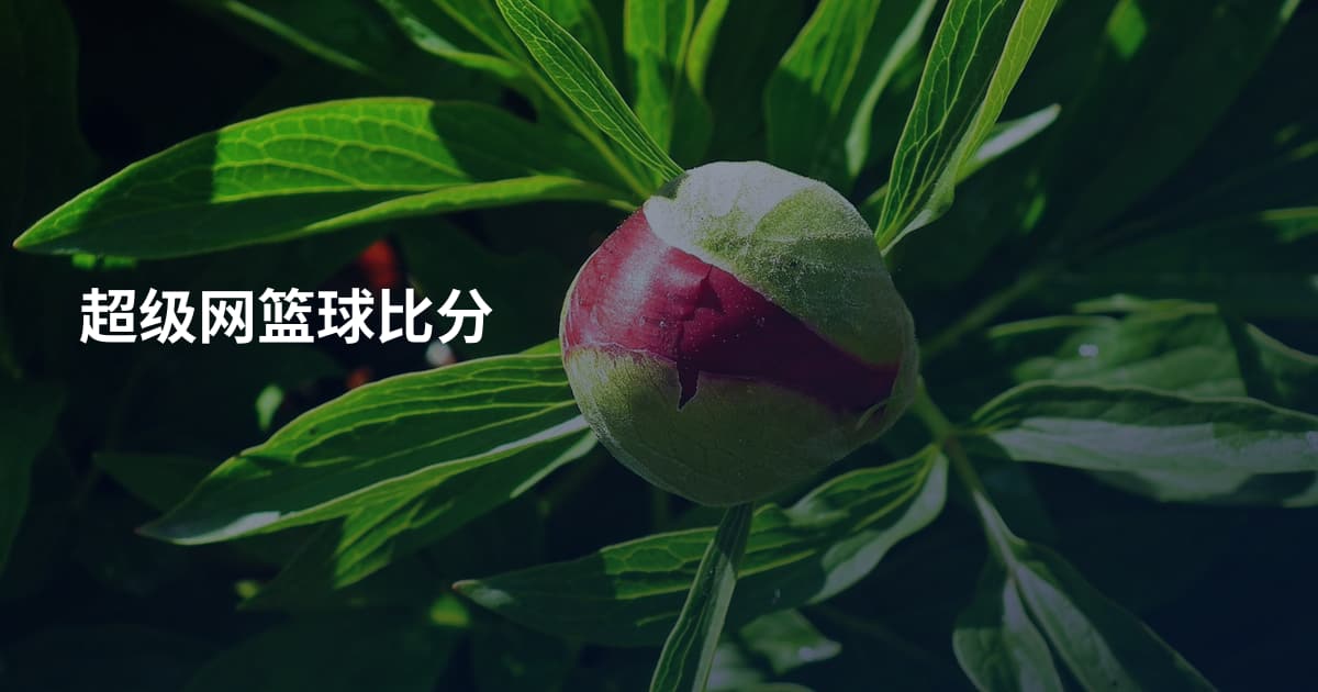 超级网篮球比分