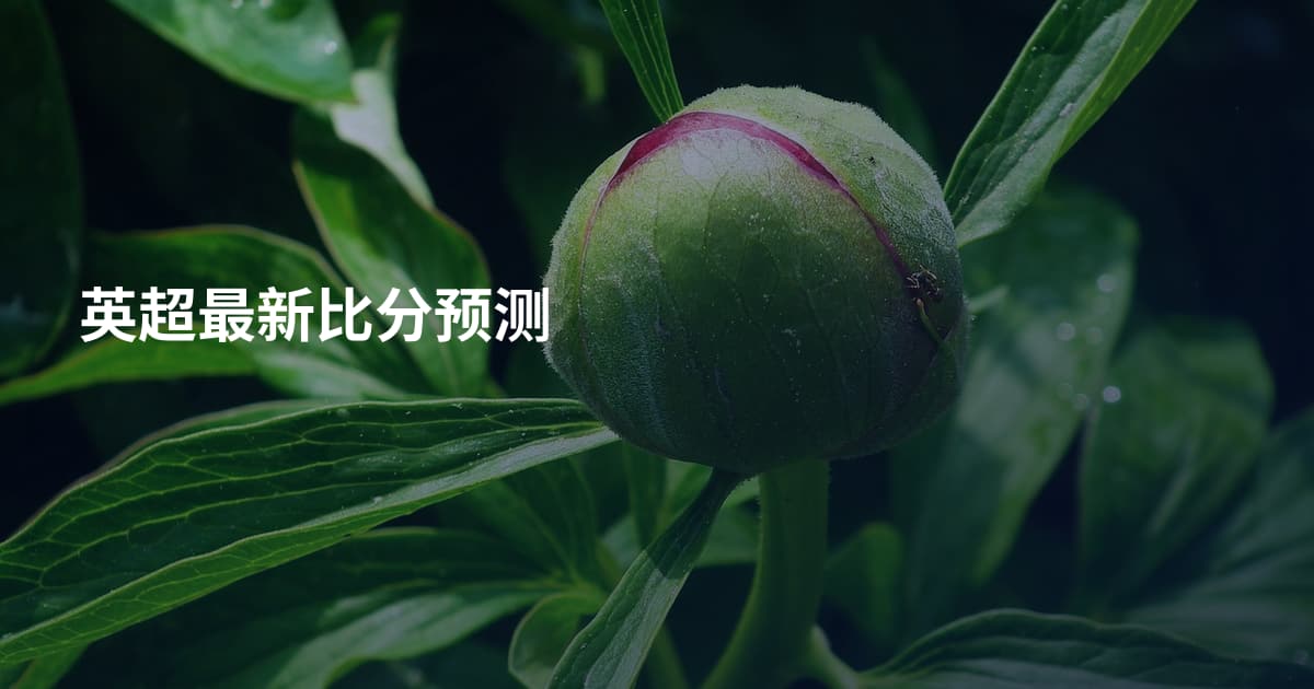 英超最新比分预测