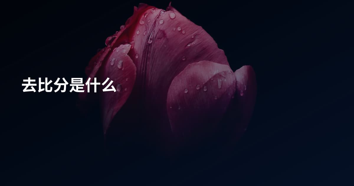 去比分是什么