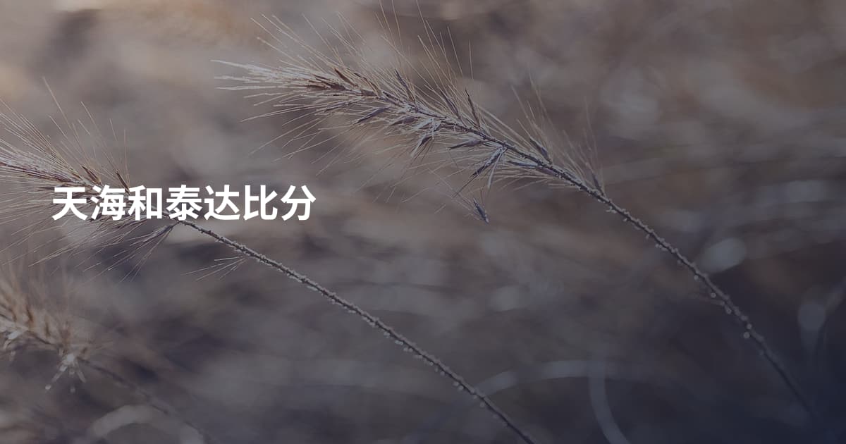 天海和泰达比分