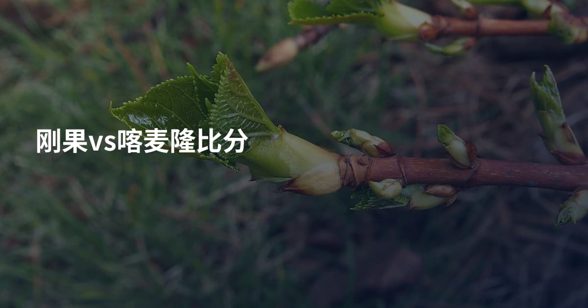 刚果vs喀麦隆比分