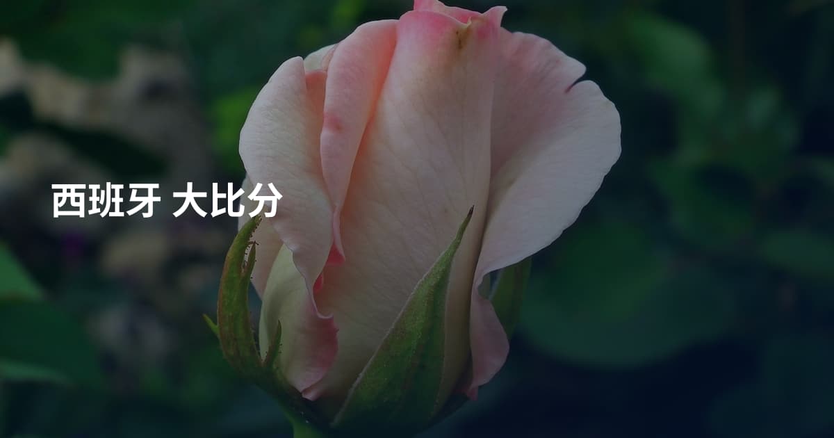 西班牙 大比分