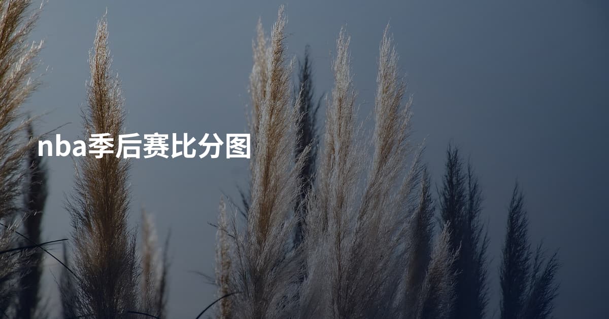 nba季后赛比分图