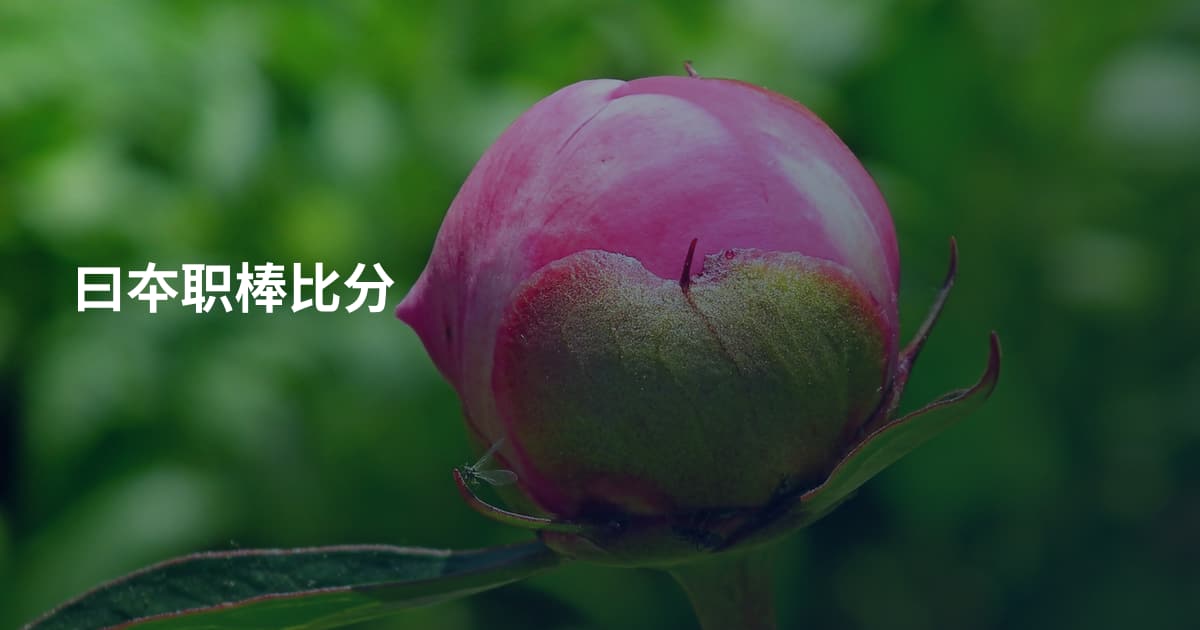 曰夲职棒比分