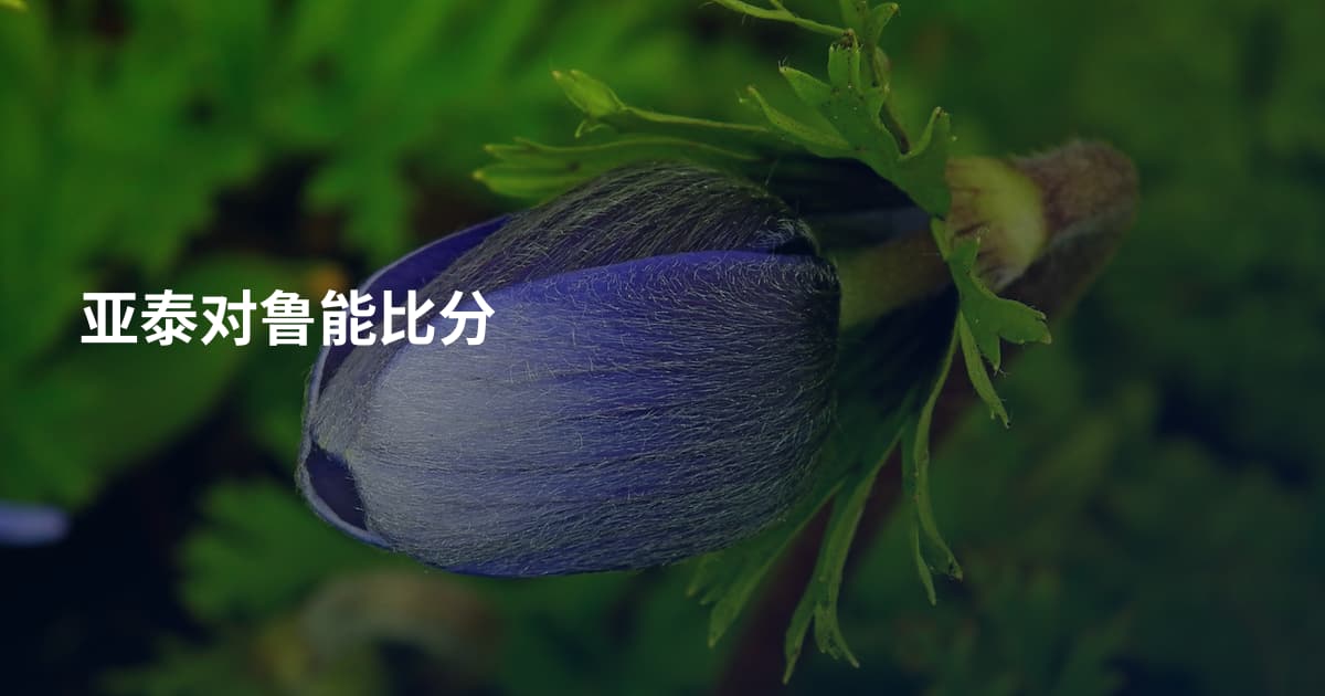 亚泰对鲁能比分