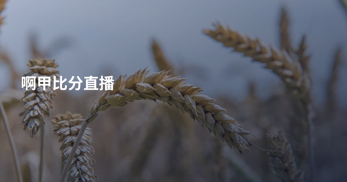啊甲比分直播