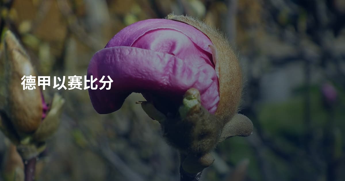德甲以赛比分