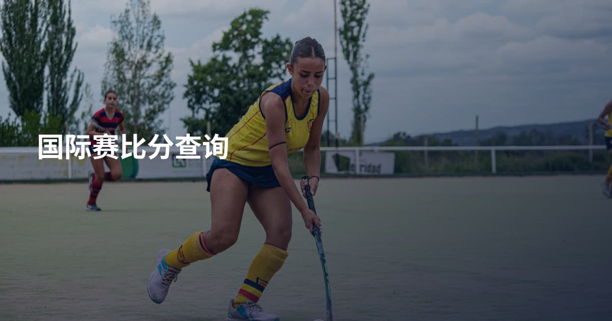 国际赛比分查询