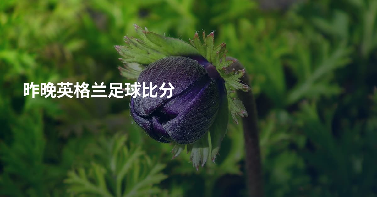 昨晚英格兰足球比分