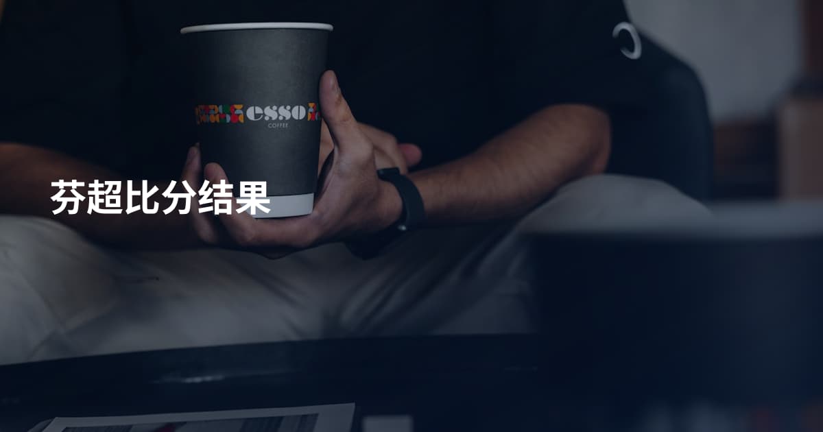 芬超比分结果