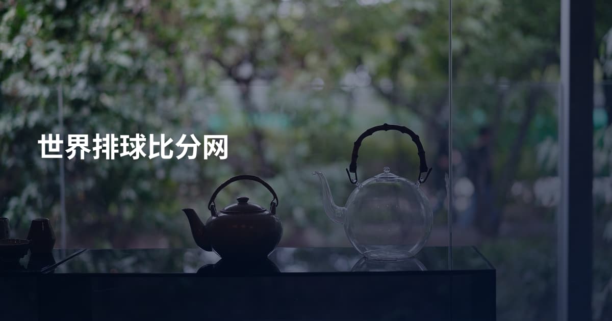 世界排球比分网