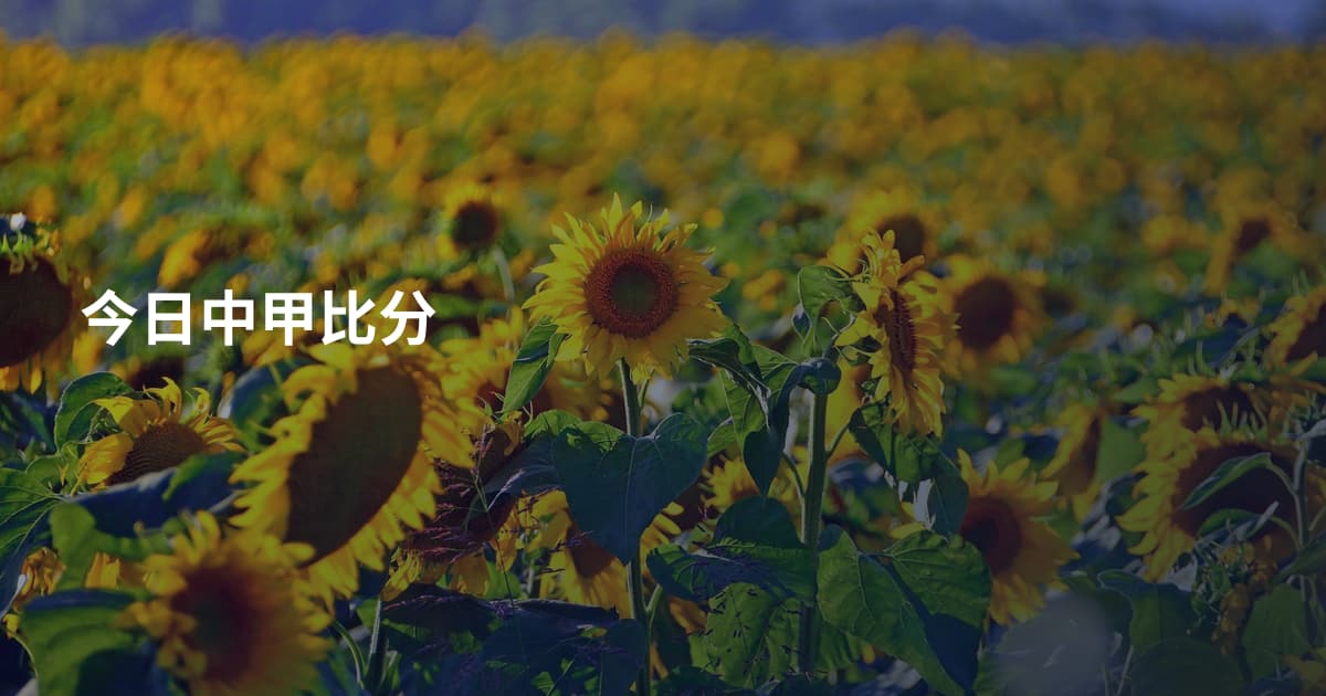 今日中甲比分