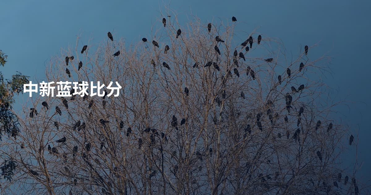 中新蓝球比分